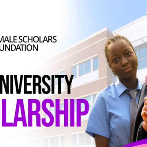 2025 University Scholarship Programme-box2
